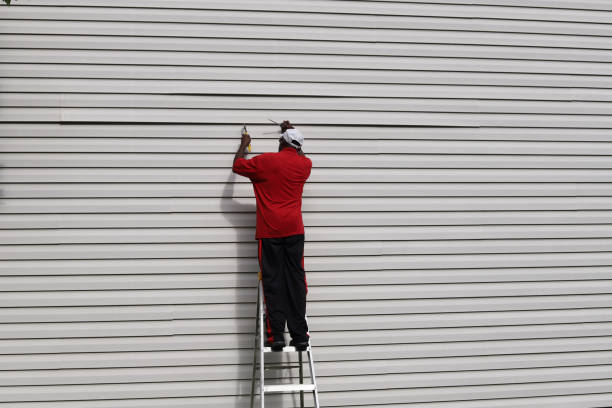 Affordable siding repair and maintenance services in Vernon, WI