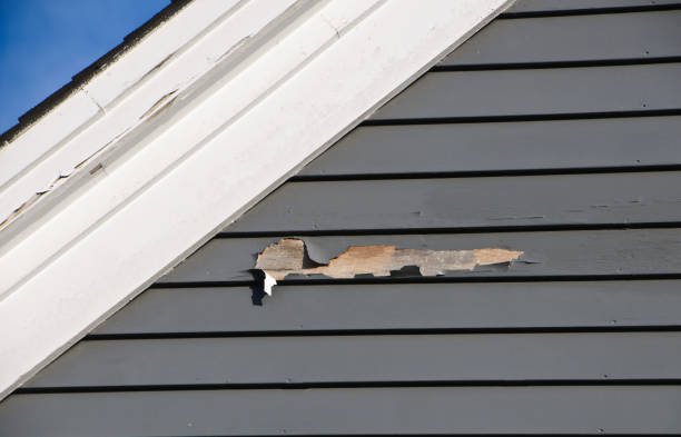 Siding for Commercial Buildings in Vernon, WI