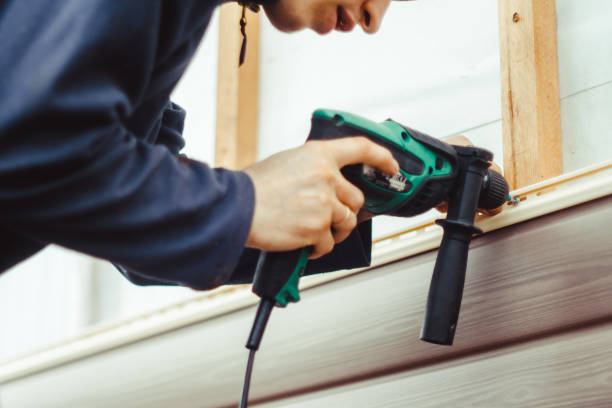 Best Custom Siding Design  in Vernon, WI